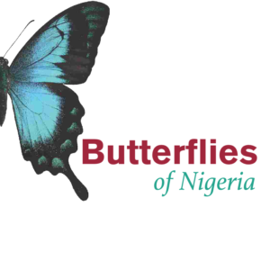 Nigeria Butterfly Photobook